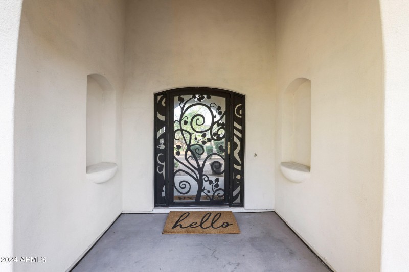 Iron/glass entry door