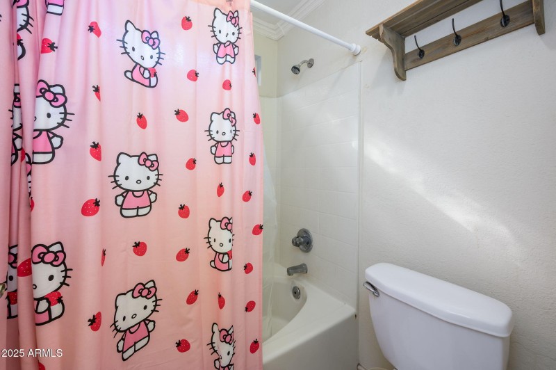 26-web-or-mls-Princeton-7