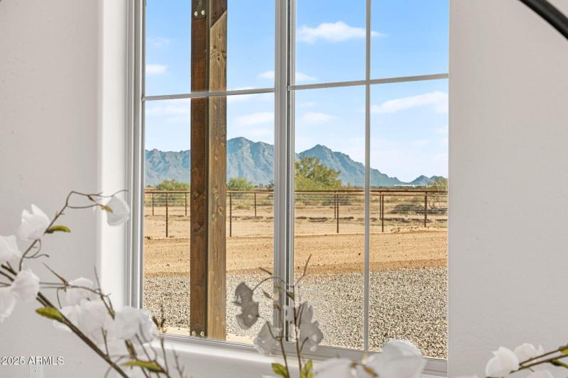 View from Living Room