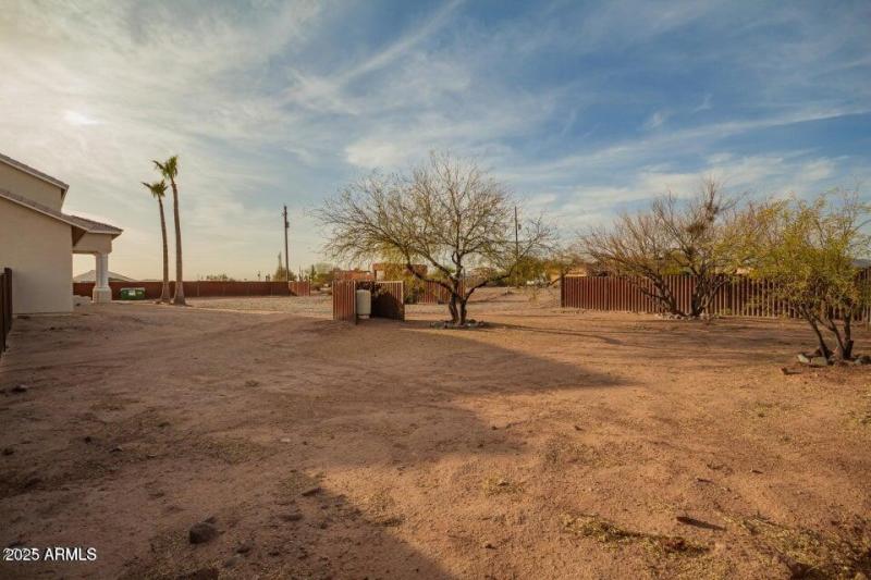 20250301100631788784000000-o