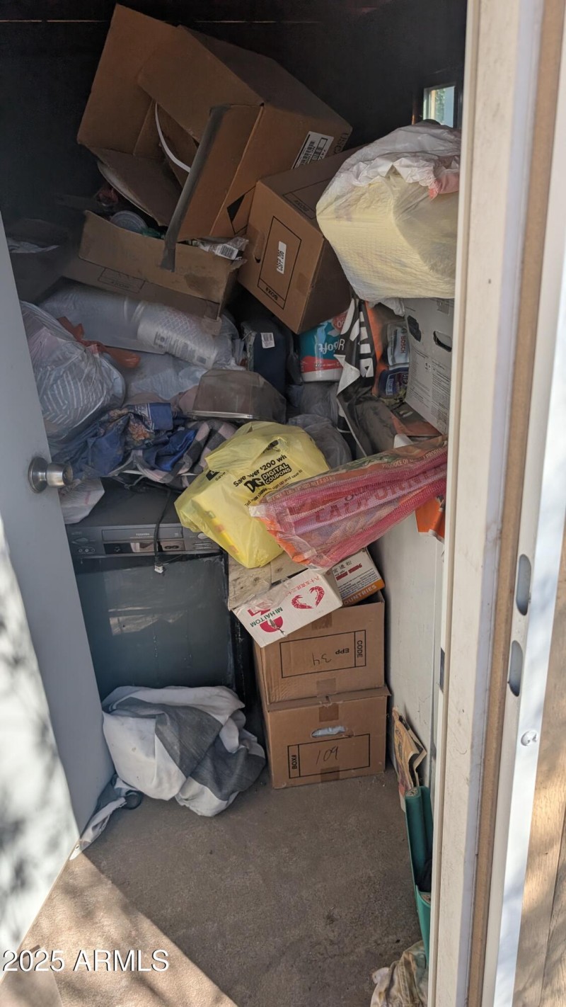 PXL_20251024_172441488