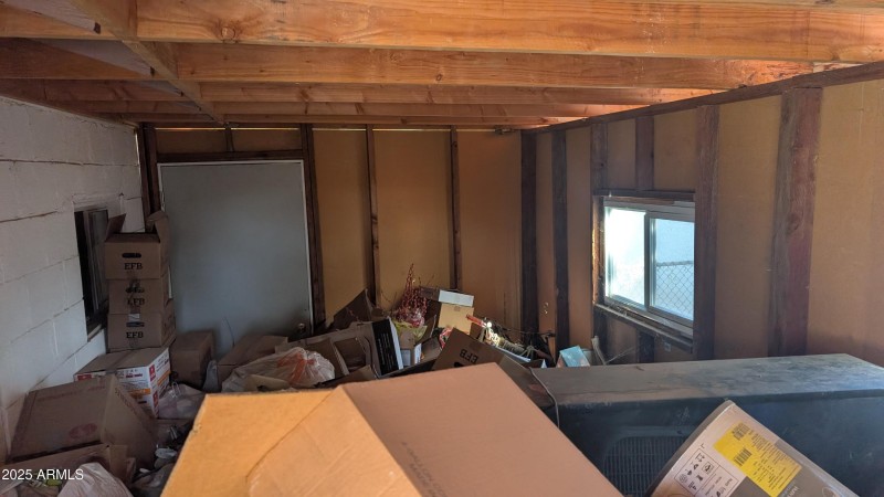 PXL_20251024_172445639