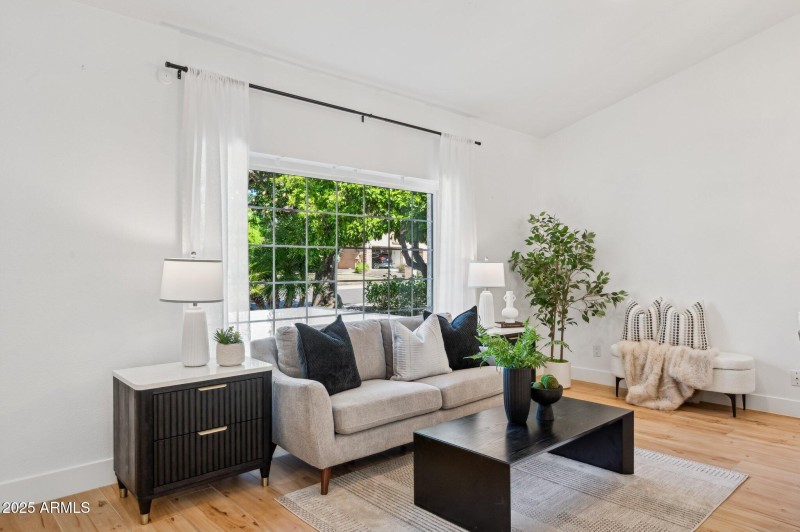 Bright sunlit living room