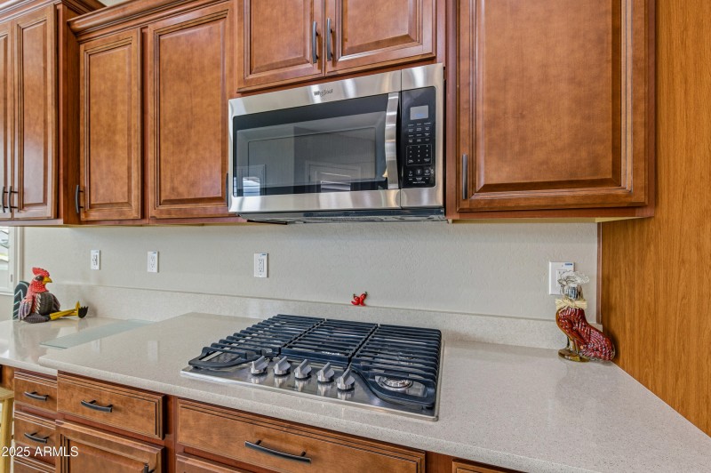 42879 W Sandpiper Drive-17