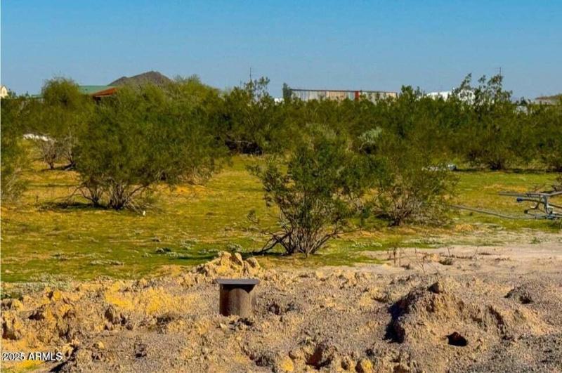 20251025041501521948000000-o