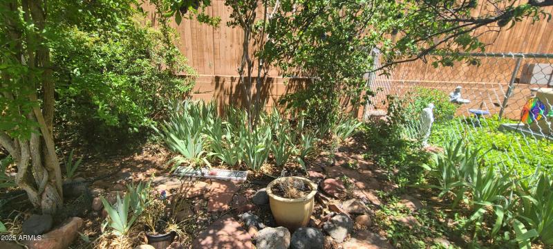 SV.78.BackYard2