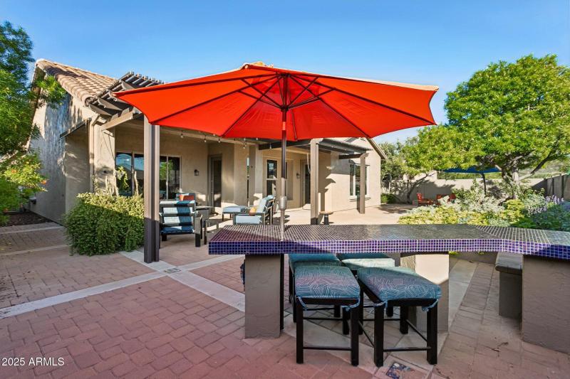 Bar Area in Backyard