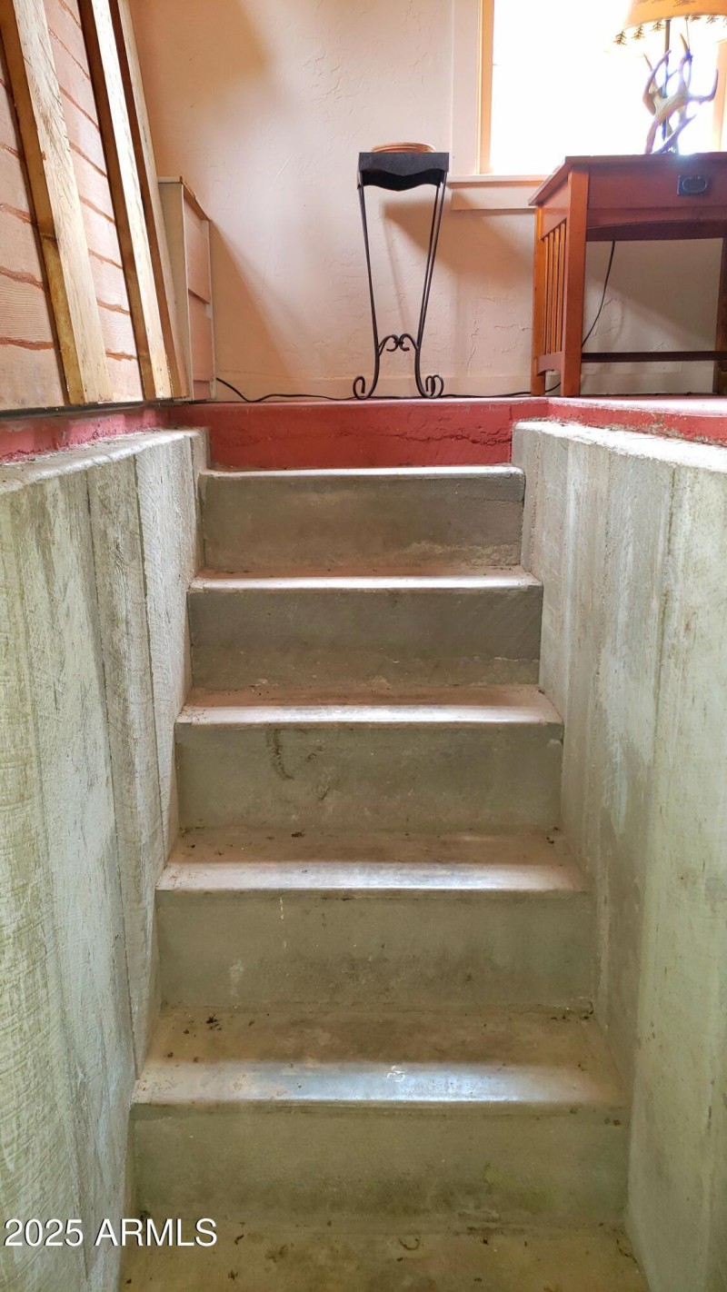 Cellar Concrete Stairs
