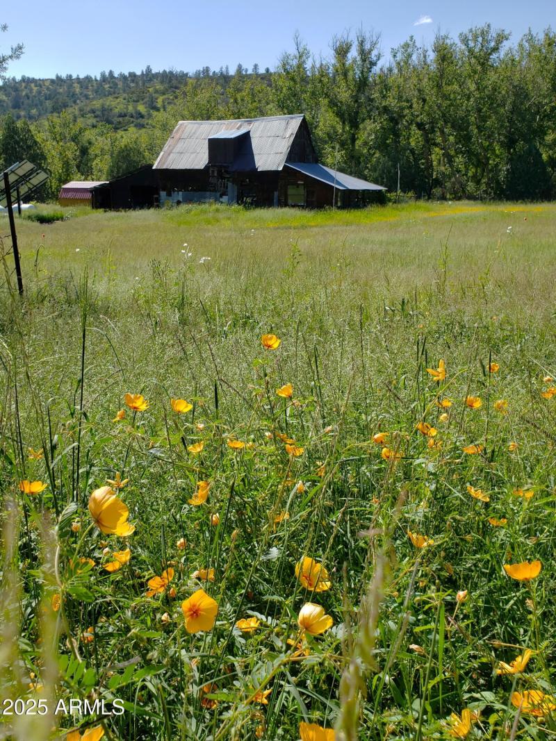 2021 Barn & Wildflowers in E Pasture