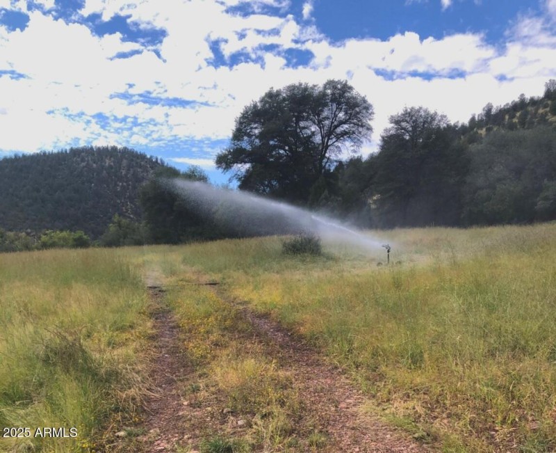 W Ctr Pasture Irrigated fr Creek