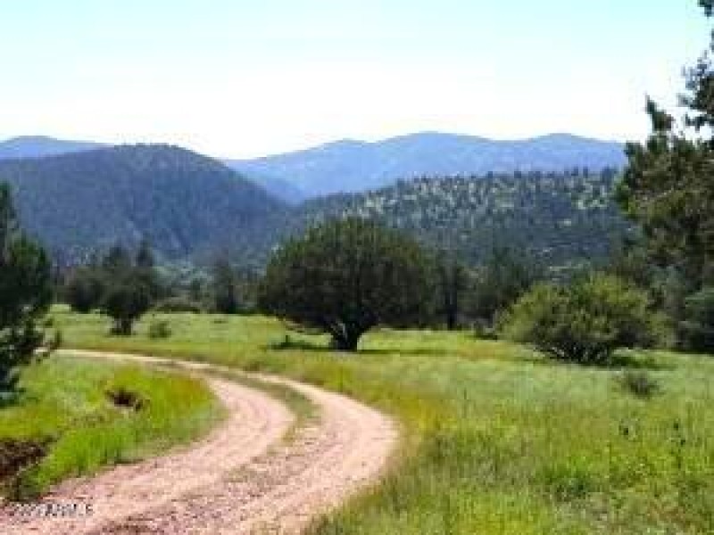 Driveway across Mesa