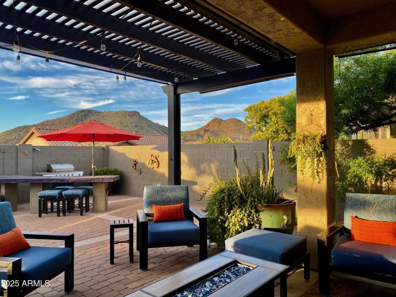 Check Out This View!