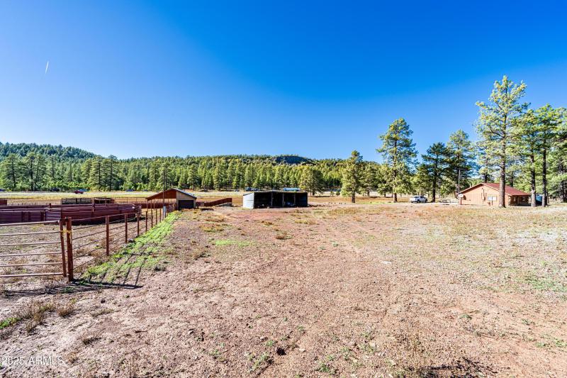 Invoice 2025101401-34