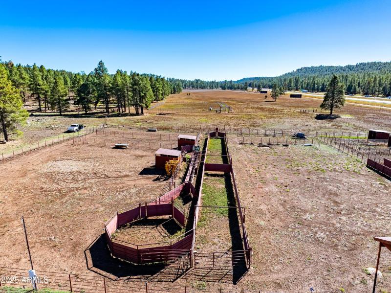 Ready for your horses