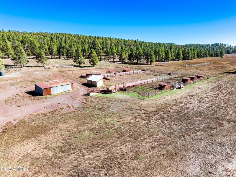 Invoice 2025101401-16