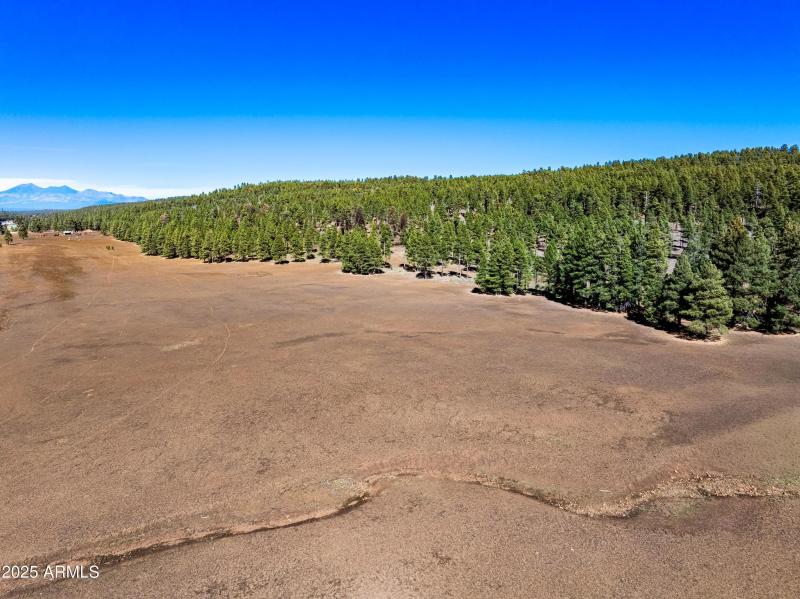 Invoice 2025101401-11