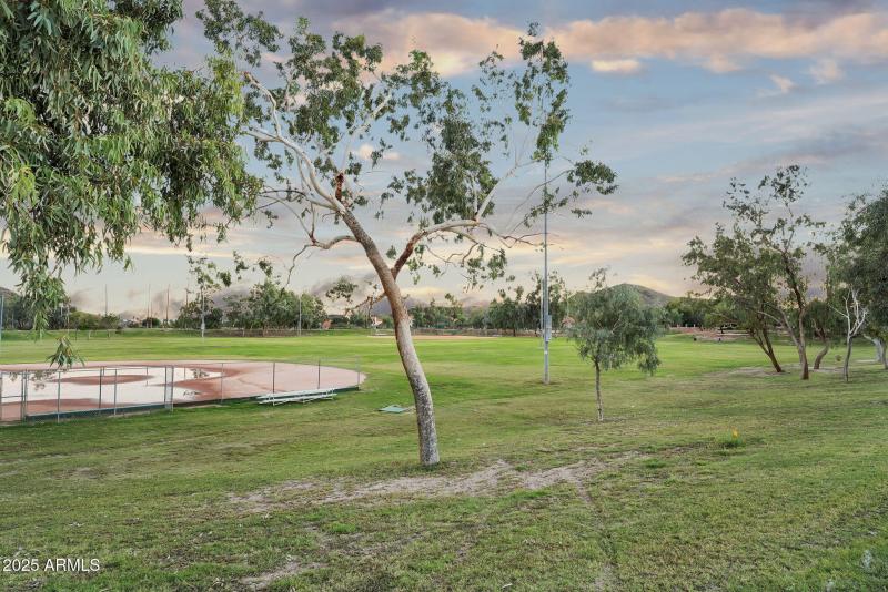 66-web-or-mls-DSC01984 (2)