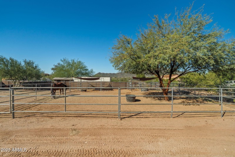 15-web-or-mls-Done-15