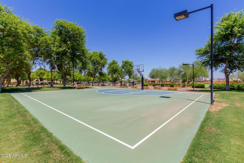 Basketball Court