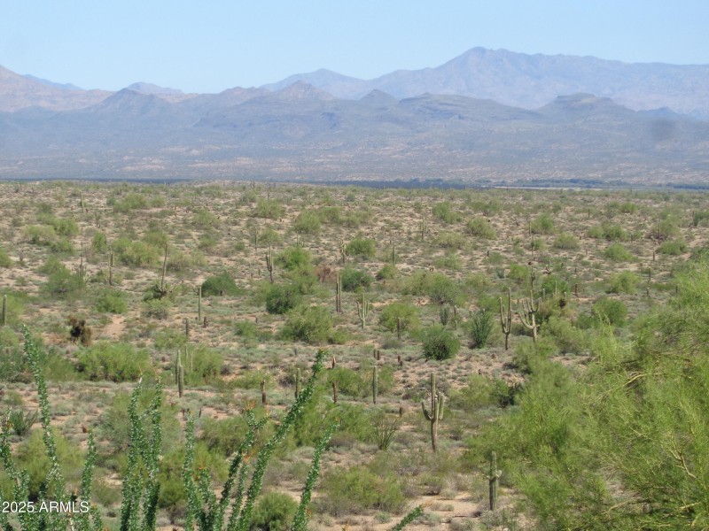 View of Desert