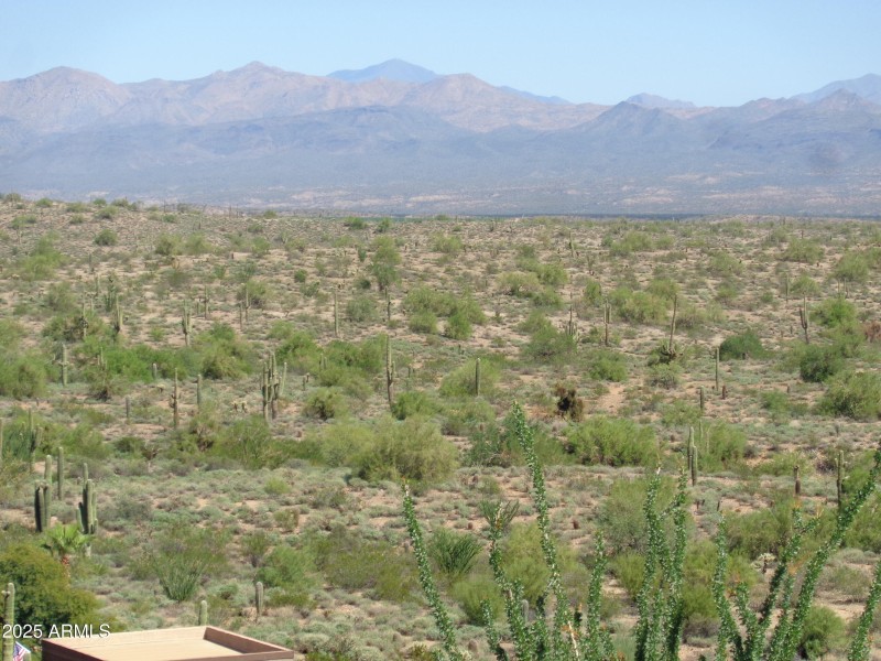 View of Desert
