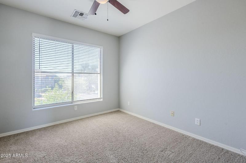 41-web-or-mls-Donatello-41