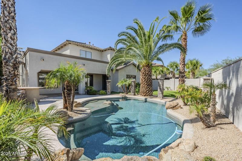 49-web-or-mls-Donatello-49