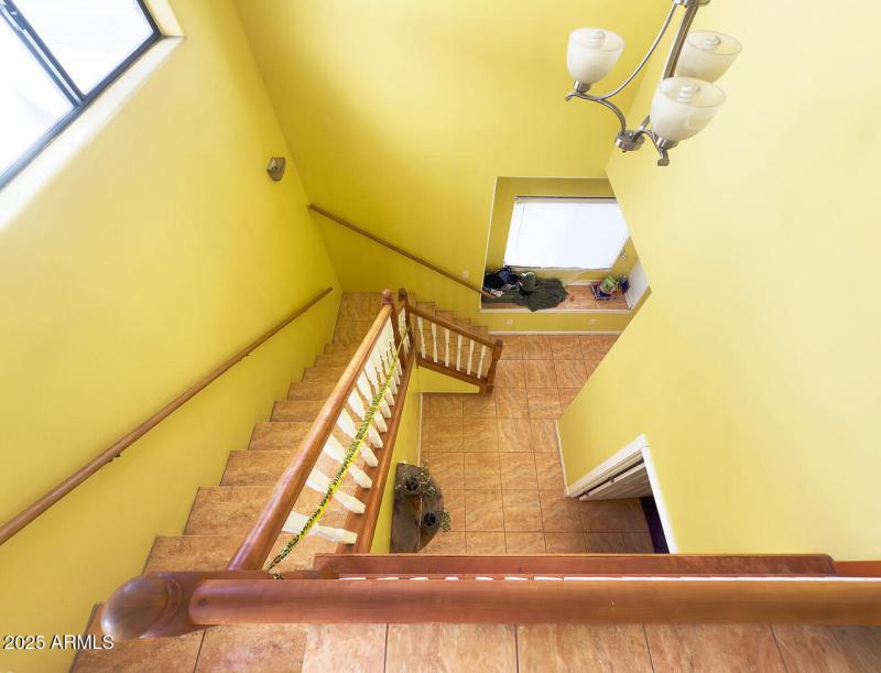 IMG_7173-CRF-PLS-1280