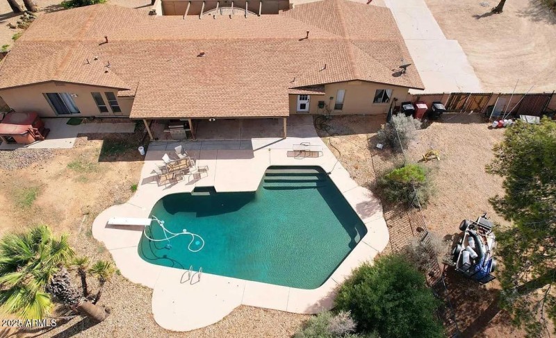 Giant pool and back yard