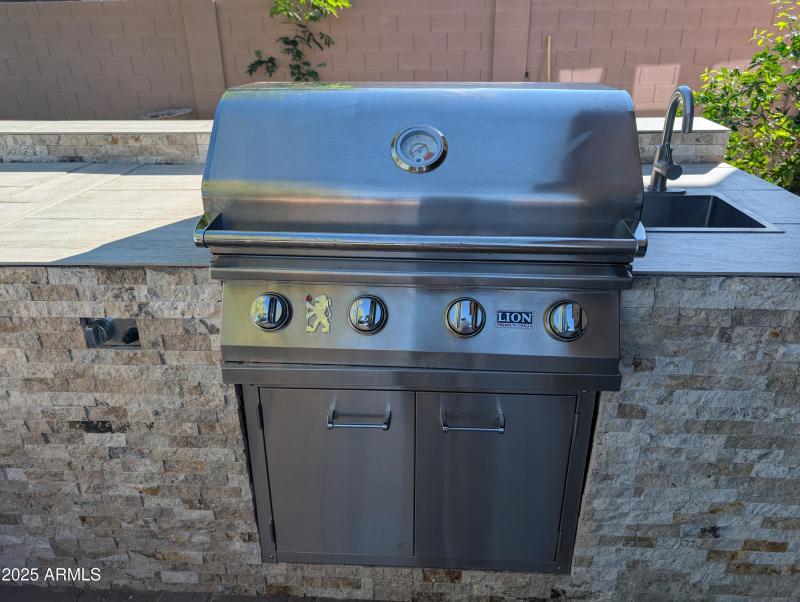 LION Gas Grill