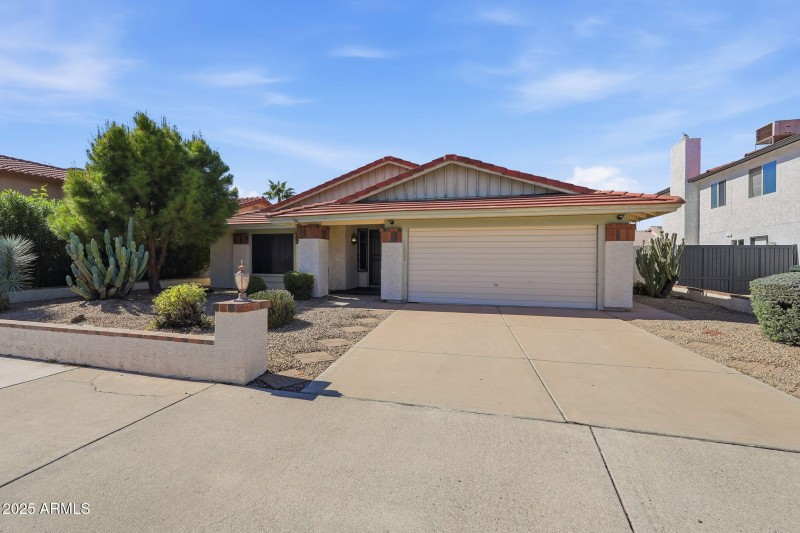 front yard vegetation