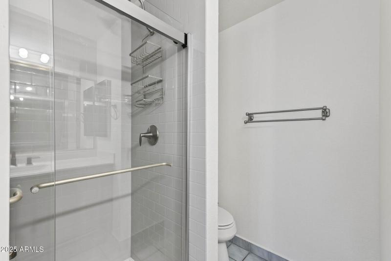 Primary Bathroom Shower