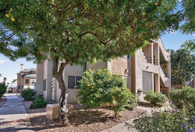 Renaissance Park #245