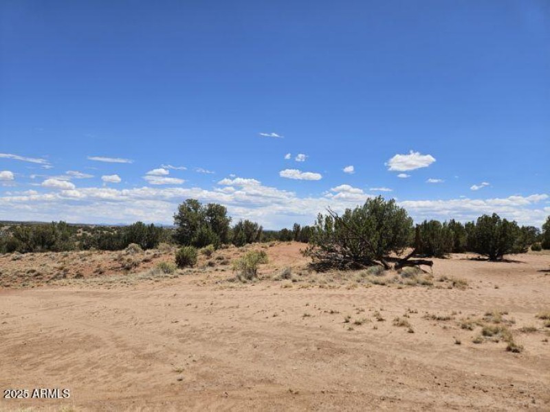 Resized_20250709_133244