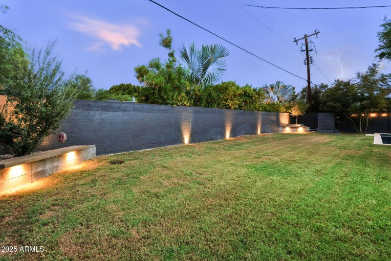 Back yard with custom lighting