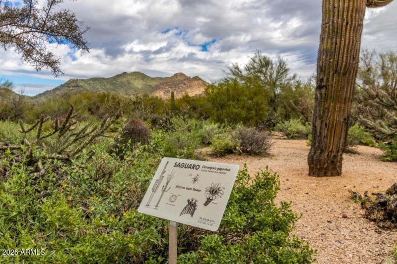 Labled Plants on Hiking Trails