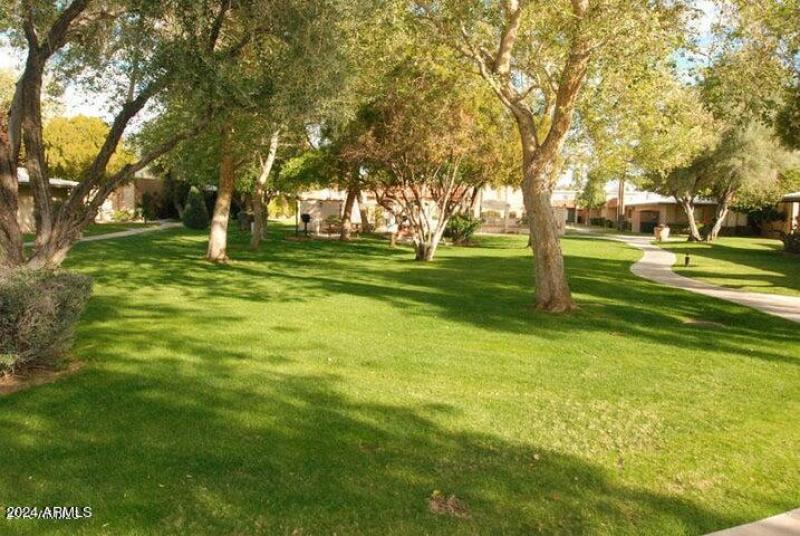 Large open green spaces