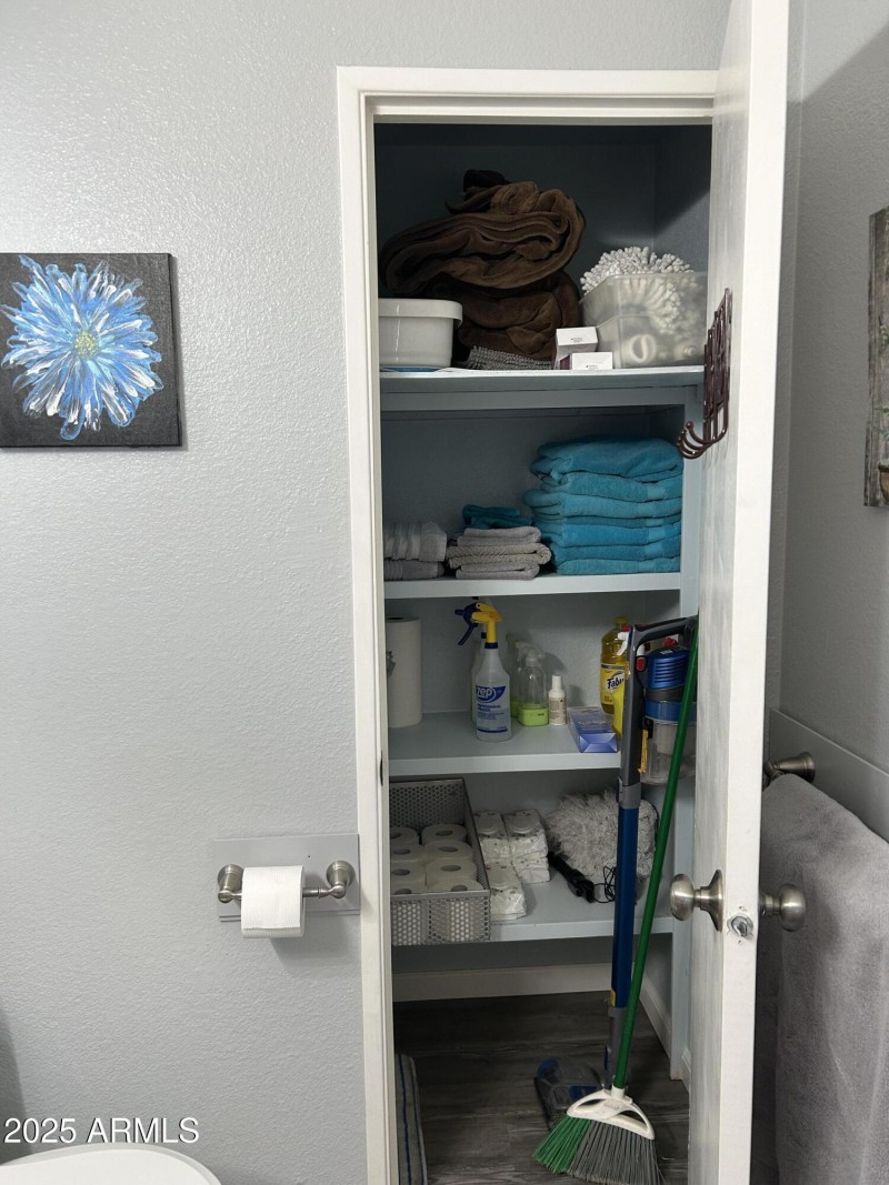 Storage in bathroom