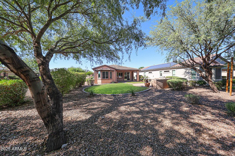 Mature Trees - Grass Virtually Staged