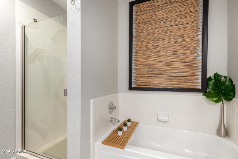 23 Primary Tub : Shower