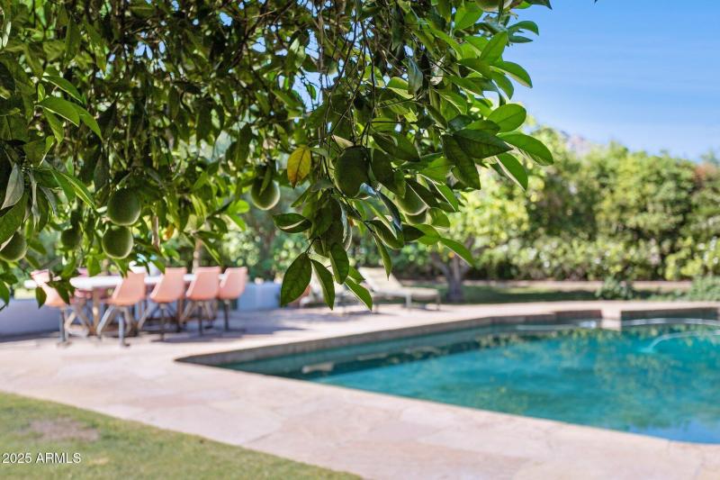 49-web-or-mls-7005-e-jackrabbit-rd