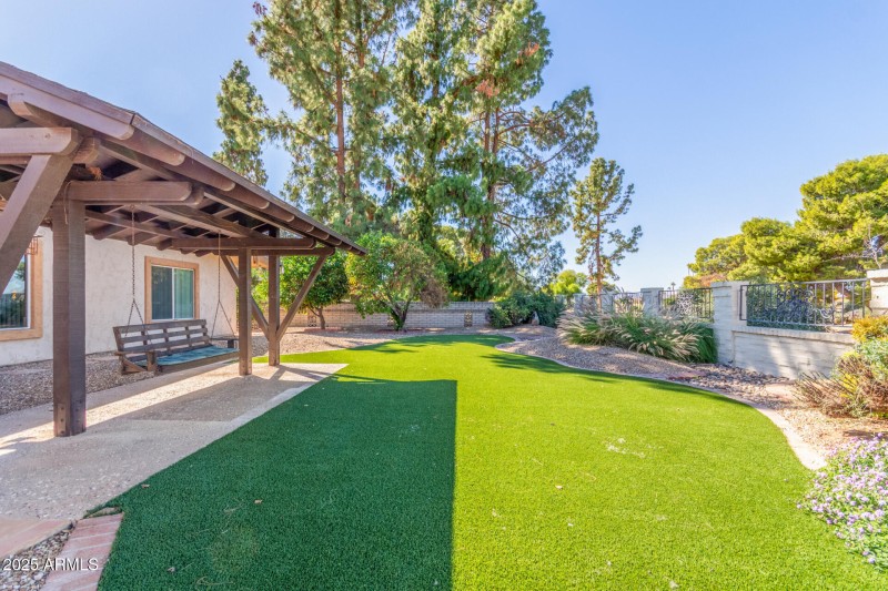 Astroturf in backyard