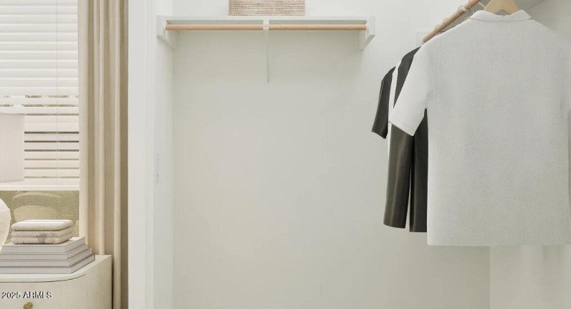 Owners Walk in Closet