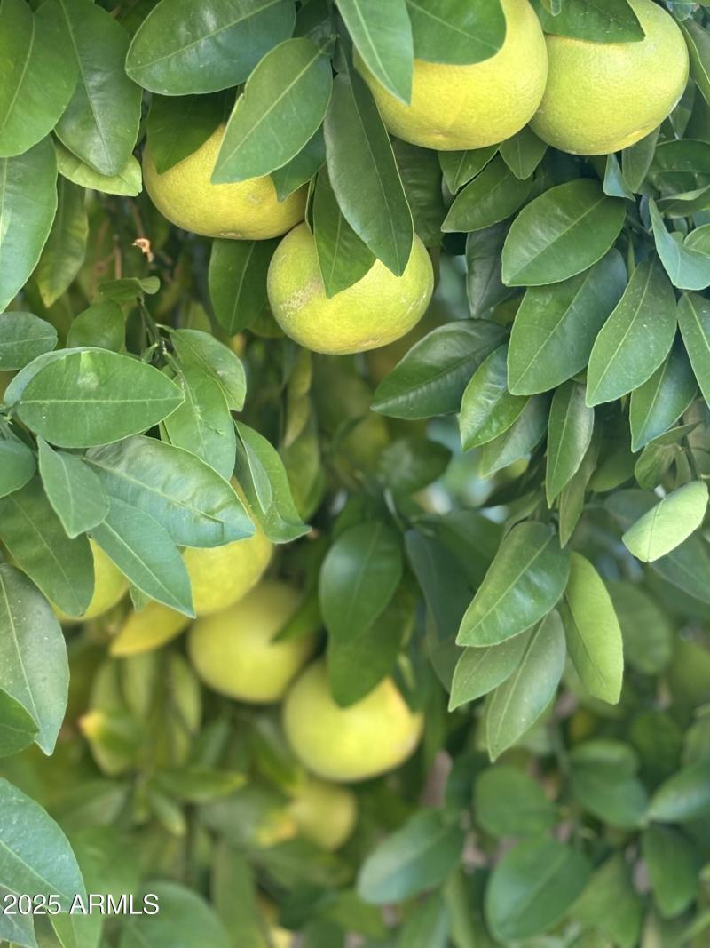 IMG_20251028_181626 (4) (1)