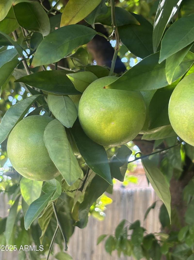 IMG_20251028_181626 (5)