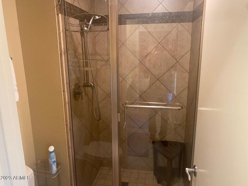 Master Bath Shower