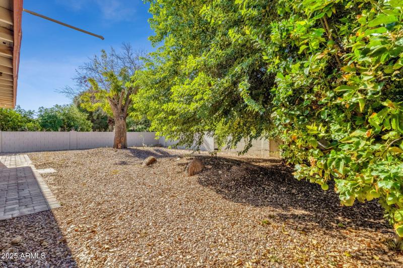 You'll have a lemon tree!