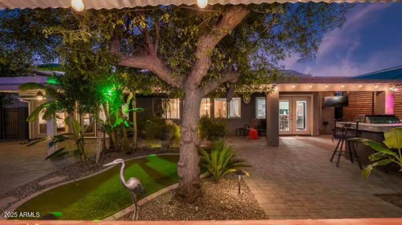 large-019a31f0-1170-7003-b0e2-7a465445ad