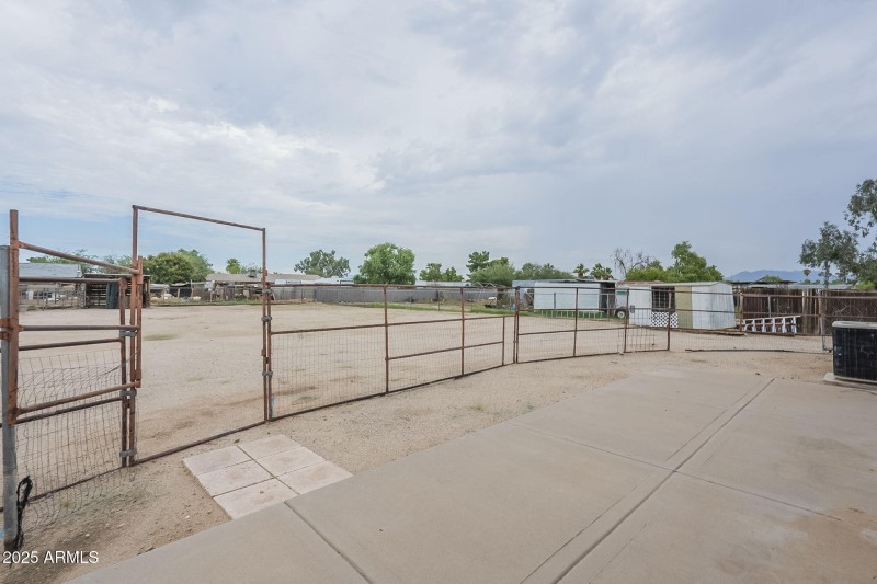 20-web-or-mls-Tonto-20