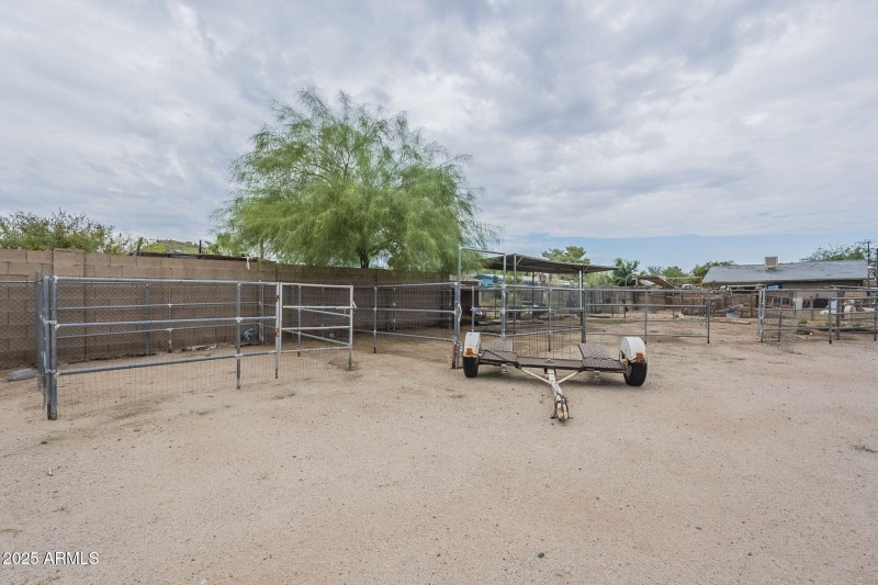 30-web-or-mls-Tonto-30